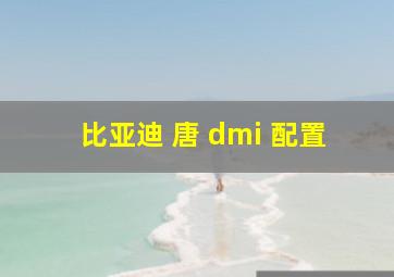 比亚迪 唐 dmi 配置